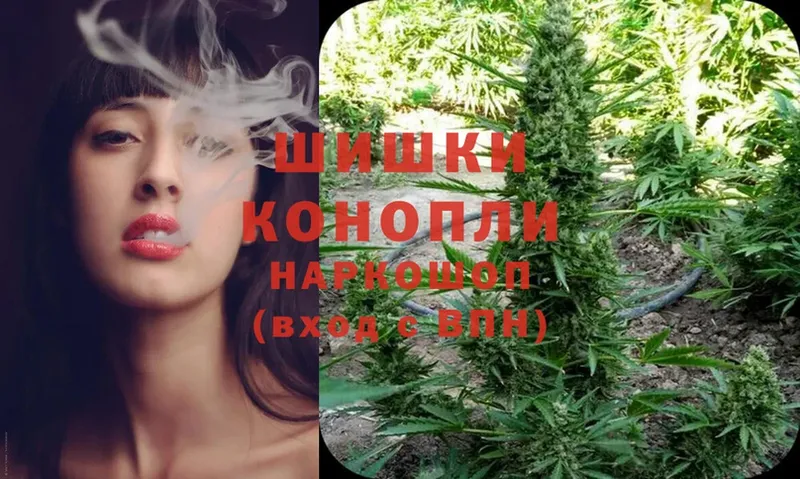 сколько стоит  Каменногорск  Конопля Ganja 